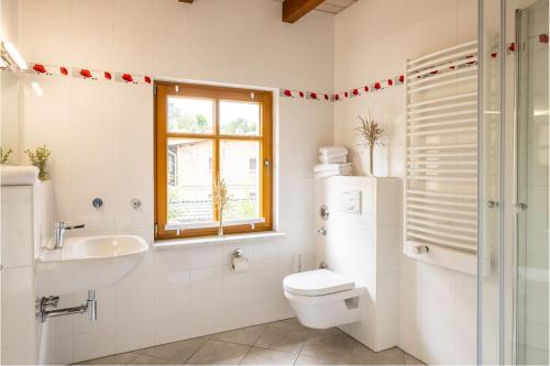 baño con aseo y lavabo y ventana en Ferienwohnungen Wildau am Werbellinsee, en Schorfheide