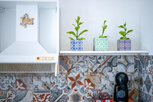 a kitchen with three plants on a shelf at Villa Carlotta con piscina in Noto Marina
