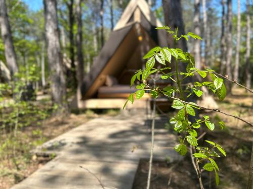 a tree house in the woods with a path at LONGOSPHERE GLAMPING in Kırklareli