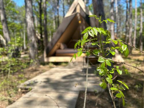 une cabane dans les arbres avec un chemin dans l'établissement LONGOSPHERE GLAMPING, à Kırklareli