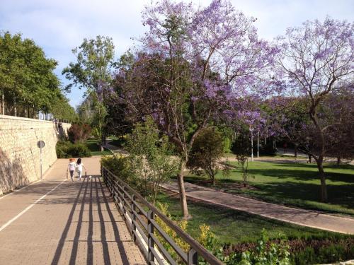 MD Modern Hotel - Jardines