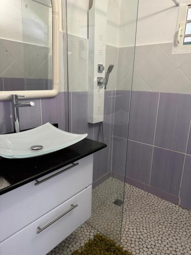 een badkamer met een wastafel en een glazen douche bij Villa des Stars xtelx0690x07xx1415xx in Saint-François