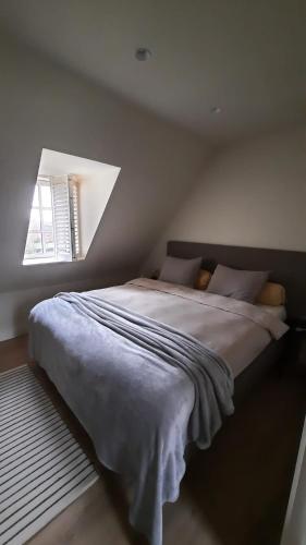a bedroom with a large bed with a window at Vakantiehuis Rosselaer in Balen