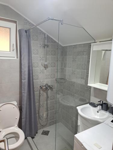 a bathroom with a shower and a toilet and a sink at Guest House Martinovic in Becici