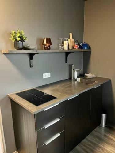 a kitchen with a sink and a counter top at Elding Apartments in Ölfus
