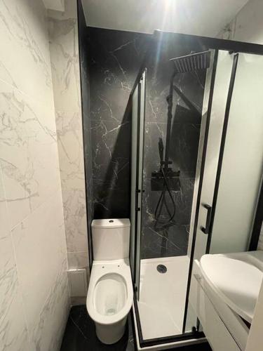 une petite salle de bain avec toilettes et douche dans l'établissement Studette cosy entièrement rénovée, à Paris