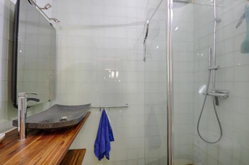 ein Bad mit einem Waschbecken und einer Dusche in der Unterkunft Bamboos Garden - Appartement climatisé in Malakoff