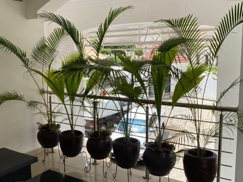 AM PLACE LUXURY APARTMENT – Photos 3