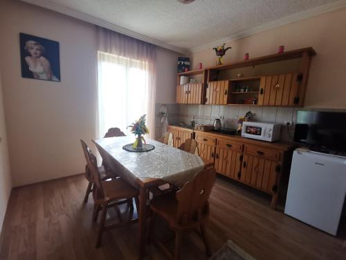 - une cuisine avec une table et des chaises dans la chambre dans l'établissement Dunav 009, à Veliko Gradište