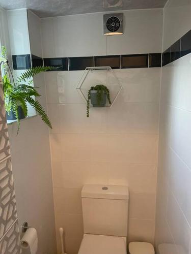 West London stunning garden flat - period features photo 9