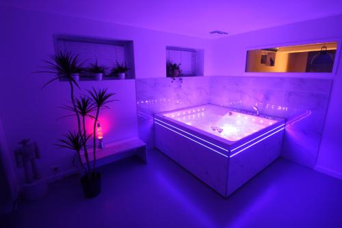 Bienvenue chez DaLo, jacuzzi, art et modernité