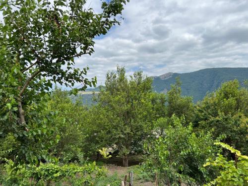 a group of trees with mountains in the background at Arman Bed and Breakfast in Halidzor