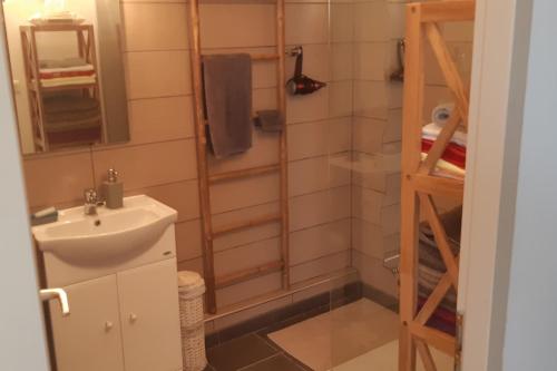 une salle de bain avec un lavabo et une douche dans l'établissement Mini Villa - Vue mer, à Serra-di-Ferro