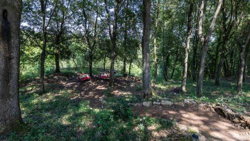Zahrada ubytování Villa Rinaldi 6, Emma Villas