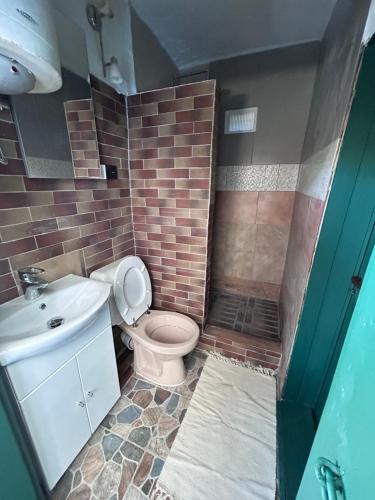 a bathroom with a toilet and a sink and a shower at Casa Verde in Lupşa