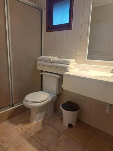bagno con servizi igienici, lavandino e specchio di Hotel y Cabañas Palomar - Caja los Andes a San Felipe