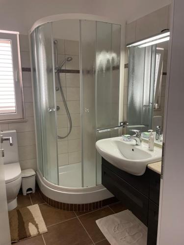 a bathroom with a shower and a sink and a toilet at Apartman Elena in Verunić