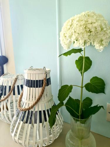 a white flower in a vase on a table at Domki Mierzeja in Drewnica