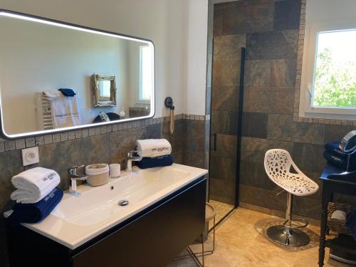 une salle de bain avec un lavabo, un miroir et une douche dans l'établissement Villa les Romarins, à Saint-Didier