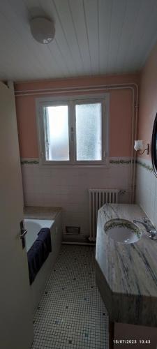 a bathroom with a sink and a window at Appartement T3 68 M2 Saint Avertin. in Saint-Avertin