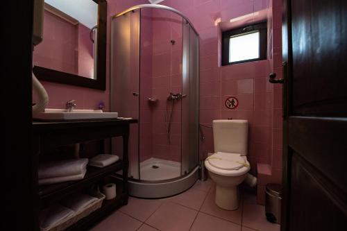 a pink bathroom with a toilet and a shower at Bucovina Lodge Pension in Vama