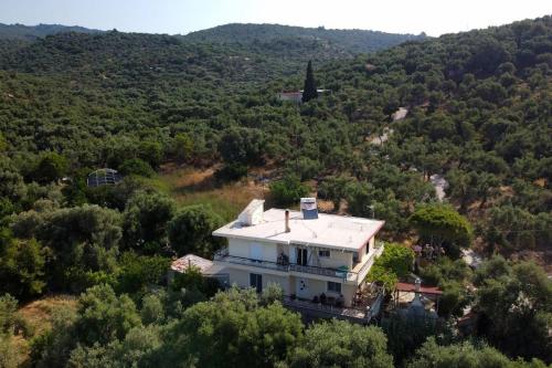 an aerial view of a white house in the forest at Villa Eirini Agia Varvara Lesvos in Plomarion