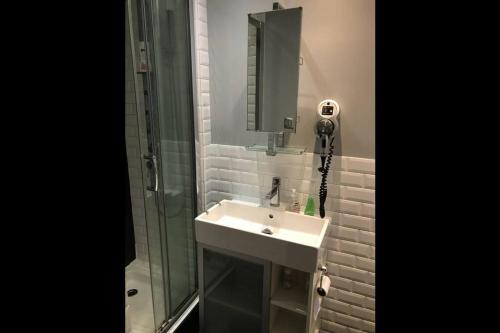 a bathroom with a sink and a shower and a mirror at Charmant studio plein centre in Fontainebleau