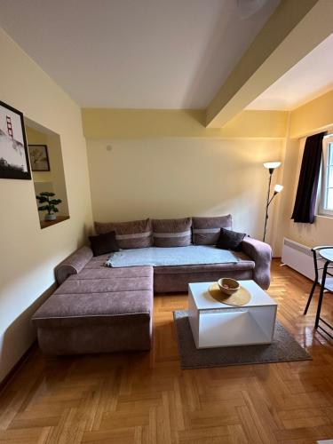 a living room with a couch and a table at Suncani apartman 36, Brzece in Brzeće