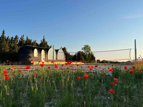 Fotografie z fotogalerie ubytování Kadakamarja (Juniper) Residence v destinaci Võiküla