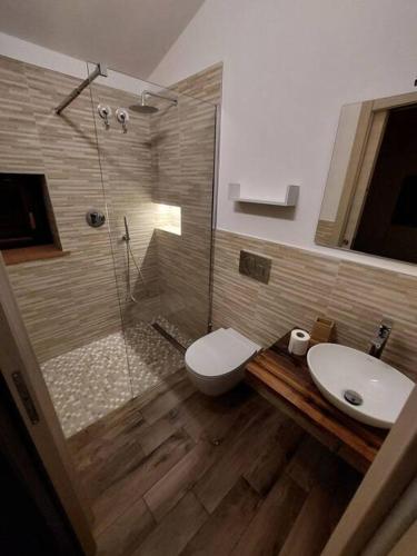 a bathroom with a shower and a toilet and a sink at Casa Fonte in Roccastrada