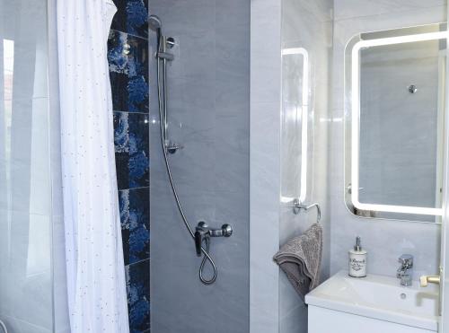 W łazience znajduje się prysznic i umywalka. w obiekcie Boros Vendégház w Bogácsu