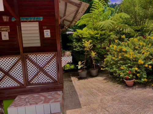 a garden with plants and flowers in pots at Le Petit Paradis in Roseau