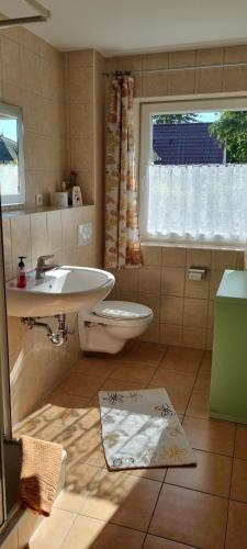 a bathroom with a sink and a toilet and a window at Haus Nora in Wohlenberg