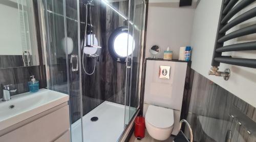a bathroom with a shower and a toilet and a sink at Hausboot La Mare Sonja in Weyhe