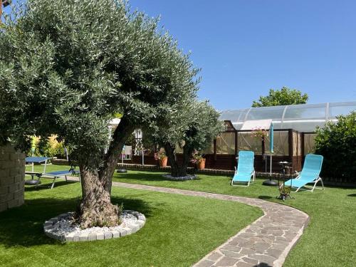a tree and two blue chairs in a yard at Casa vacanze villa Lido- Pangrazi Alessandra in LʼAquila