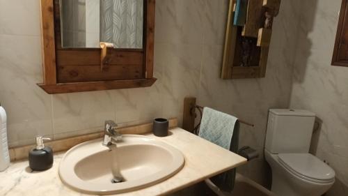 a bathroom with a sink and a toilet and a mirror at Marina in Lleida