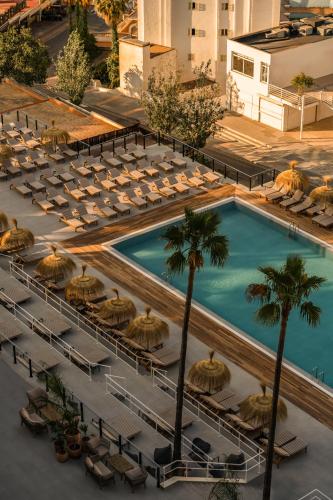 an overhead view of a pool with chairs and umbrellas at Cooks Club Calvia Beach - Adults Only in Magaluf