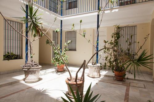 GoToSeville Siete Revueltas