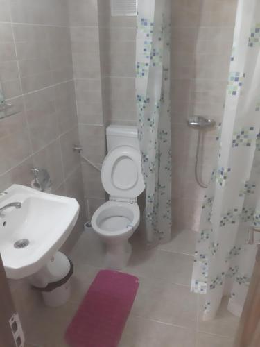 a bathroom with a white toilet and a sink at Casa Ioana in Căpăţîneni-Pămînteni