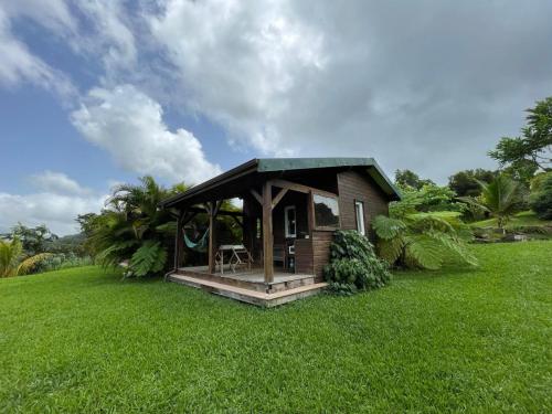 a small cabin in a field of green grass at Bungalow à flanc de colline in Le Morne Rouge
