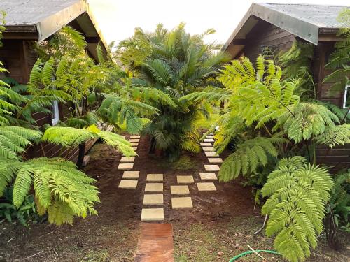 a garden with some plants and a pathway at Bungalow à flanc de colline in Le Morne Rouge