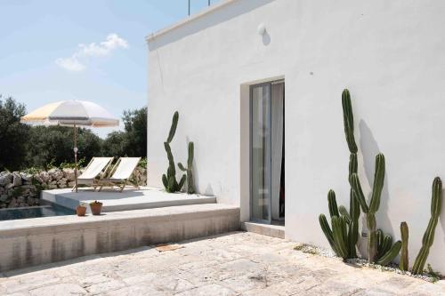 - un bâtiment blanc doté d'une terrasse avec un cactus dans l'établissement Alloggio nei Trulli della Masseria Collina Casanoja, à Noci