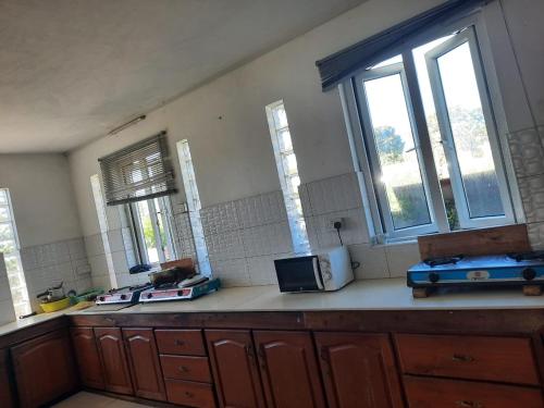 cocina con encimera, microondas y ventanas en NR appartments, en Curepipe