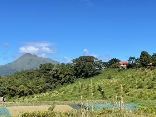 a hill with a house and a mountain in the background at Chambre Ylang Ylang vue Mont Pelée in Le Morne Rouge