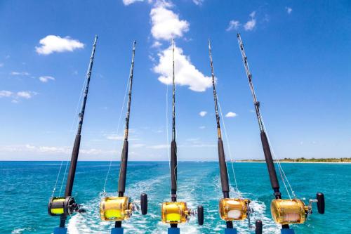a group of four fishing boats in the ocean at The Quiet Oasis in Weeki Wachee