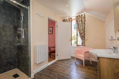 un baño con lavabo y ducha en La Ruche Chambres d'hôtes, en Ségur-le-Château