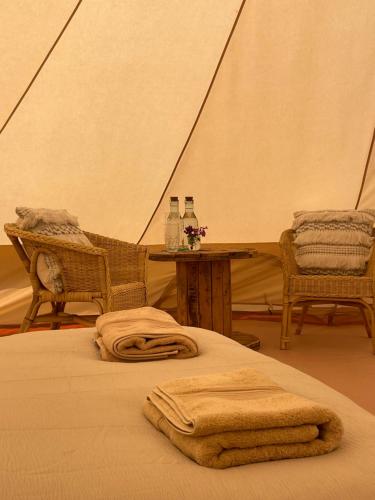 een kamer met 2 bedden en een tafel in een tent bij Wheeldon Escapes in Totnes