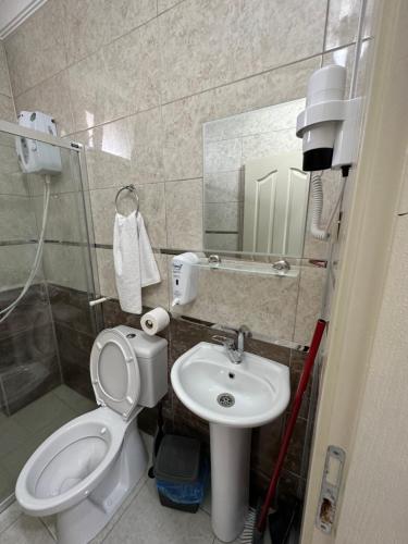 a small bathroom with a toilet and a sink at Delpina APART - Doğa içinde deniz manzaralı in Pazar