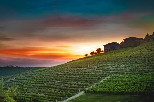 a vineyard with a house on a hill with a sunset at Réva Resort in Monforte dʼAlba