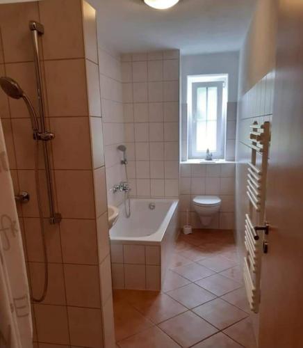 a bathroom with a tub and a toilet and a sink at Bernsteinglück in Wunsiedel